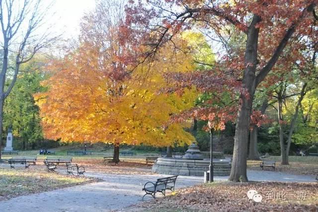 【到此一游】纽约的秋天，市区内哪里最美？！